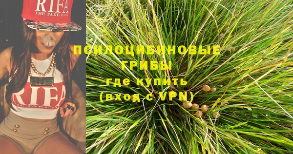 спайс Алзамай