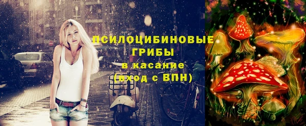 крисы Алексин