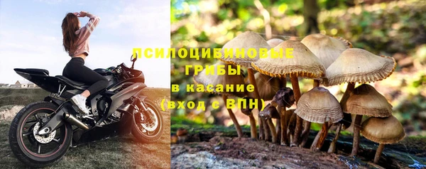 спайс Алзамай