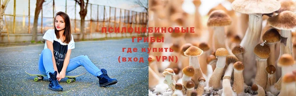 первитин Алексеевка